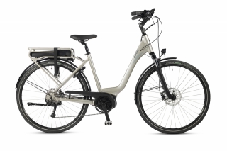 E-bike-model:-Box-6.1